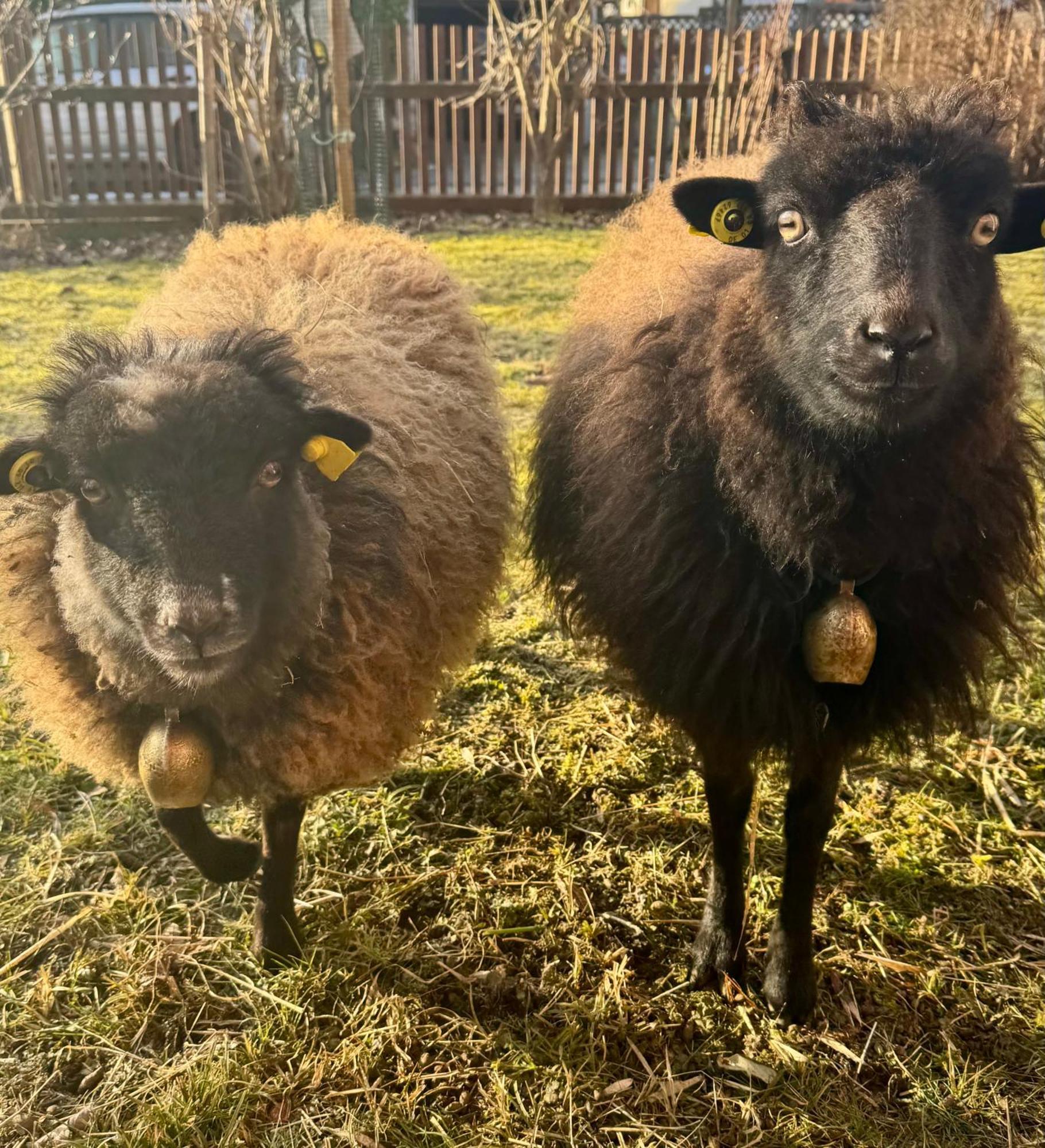 Ferienwohnung Seidenhuhn Kiefersfelden Zewnętrze zdjęcie